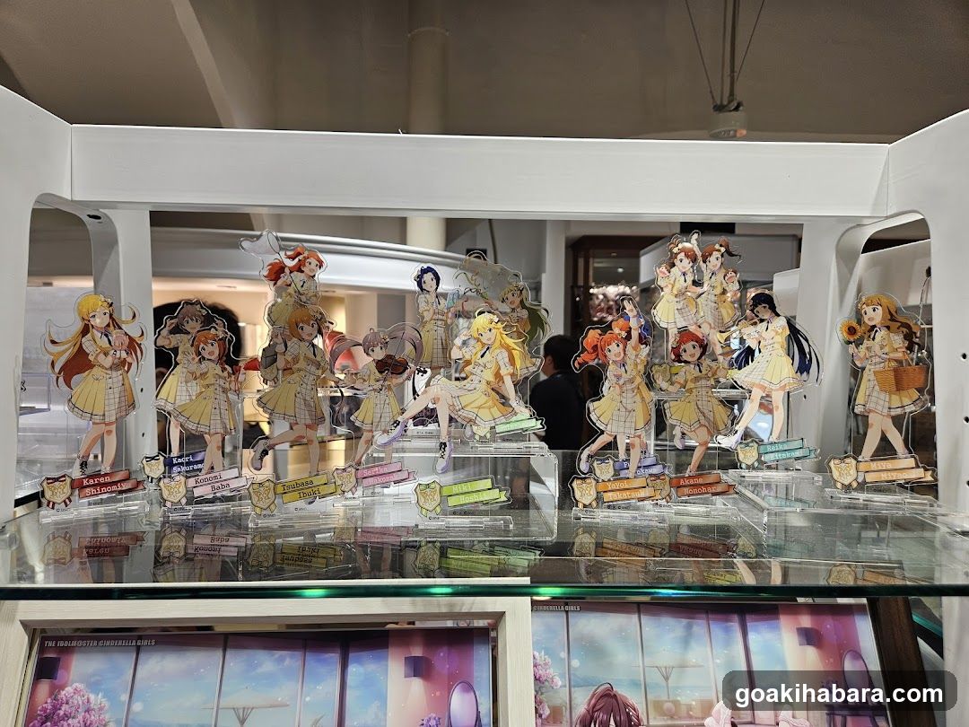 Anime Merchandise Display