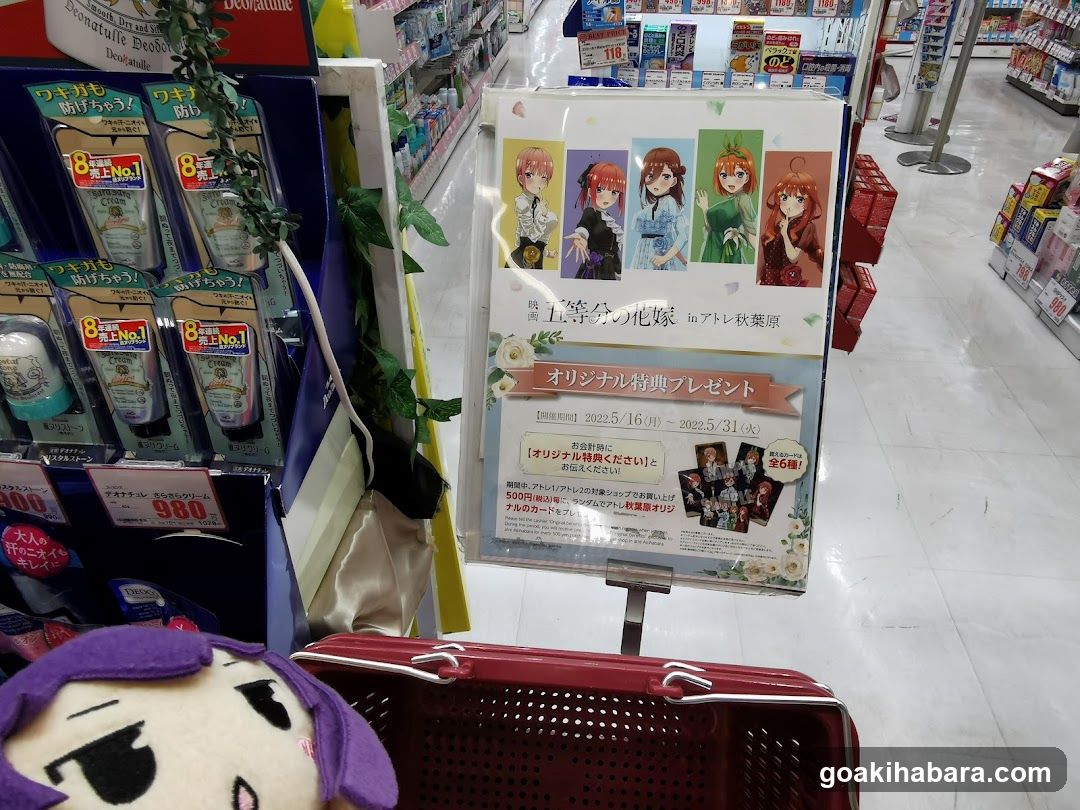 Anime Store Interior Display