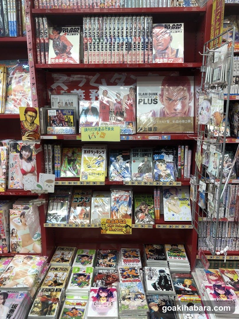 Manga and Comics Store Interior