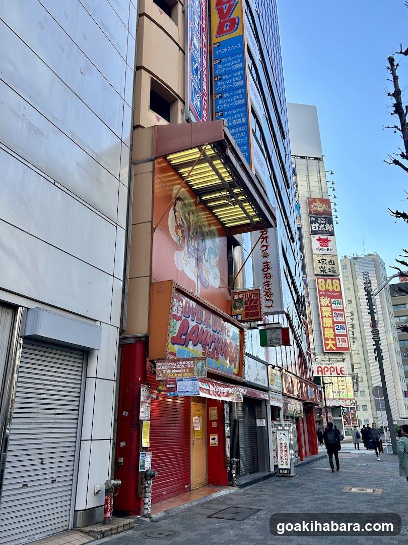 Street Scene with Shops and Signage