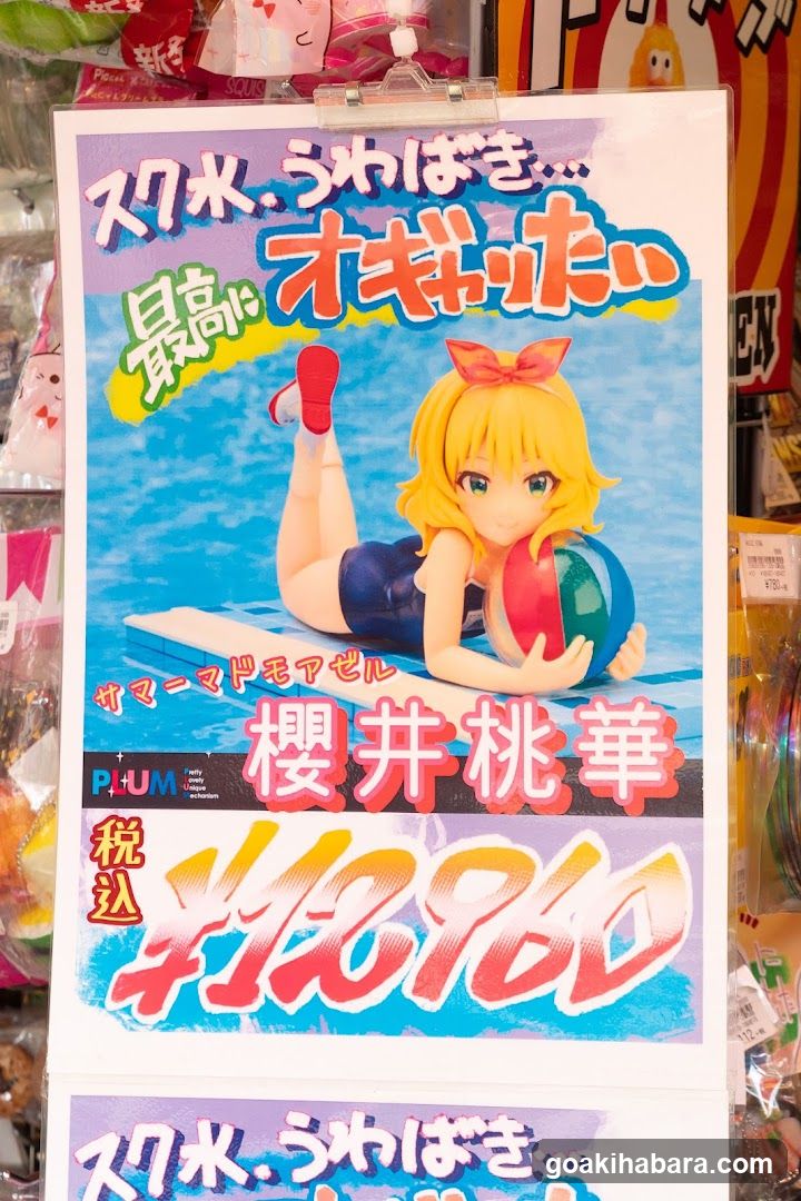 Anime Figure Poster Display