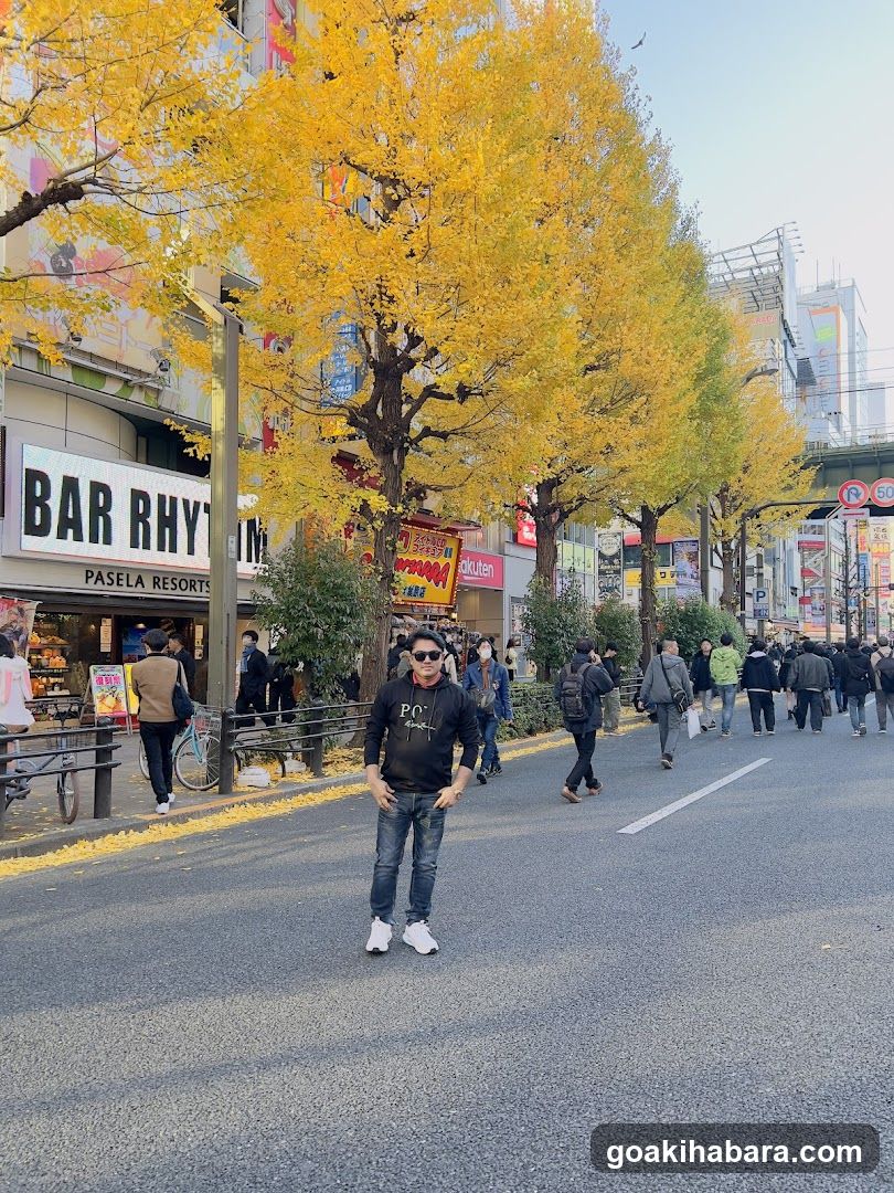 Street scene with autumn trees and pedestrians