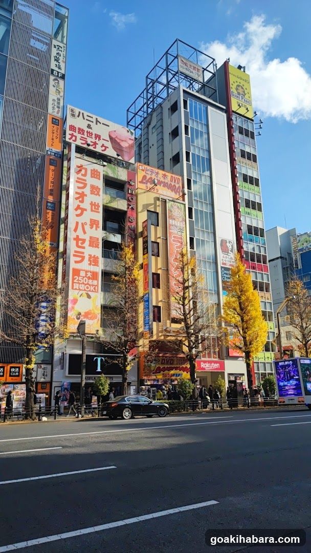 Urban Street Scene with Karaoke Bars and Shops
