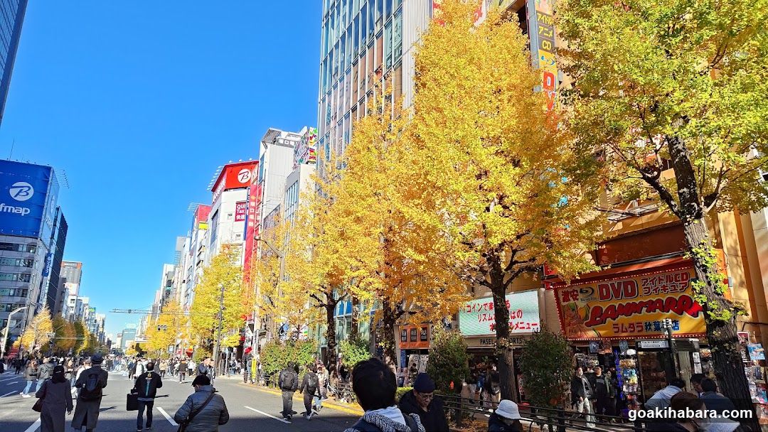 Autumn Street Scene with Golden Trees
