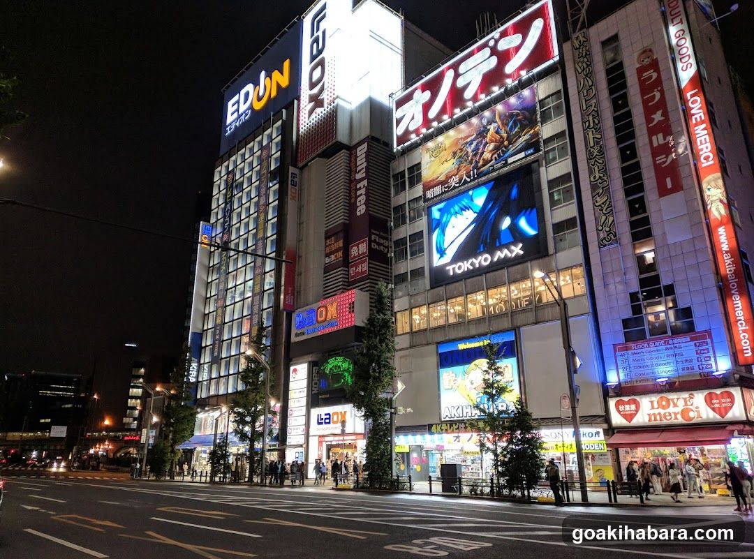 Tokyo Shinjuku Night Street Scene