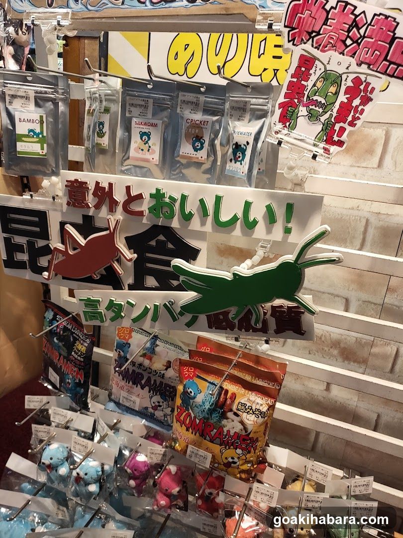 Insect Snacks Display