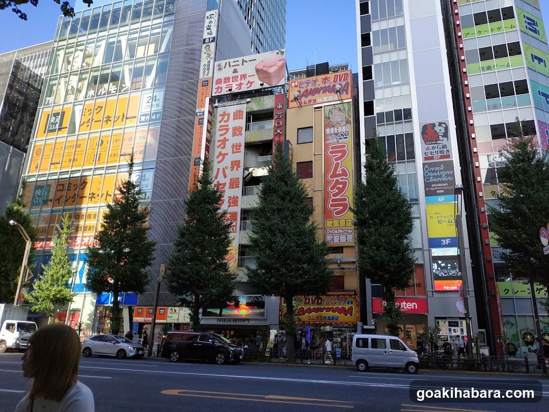 Urban Street Scene with Shops and Buildings