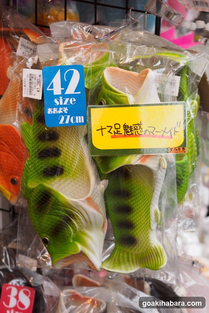 Bait Fish Lures Display