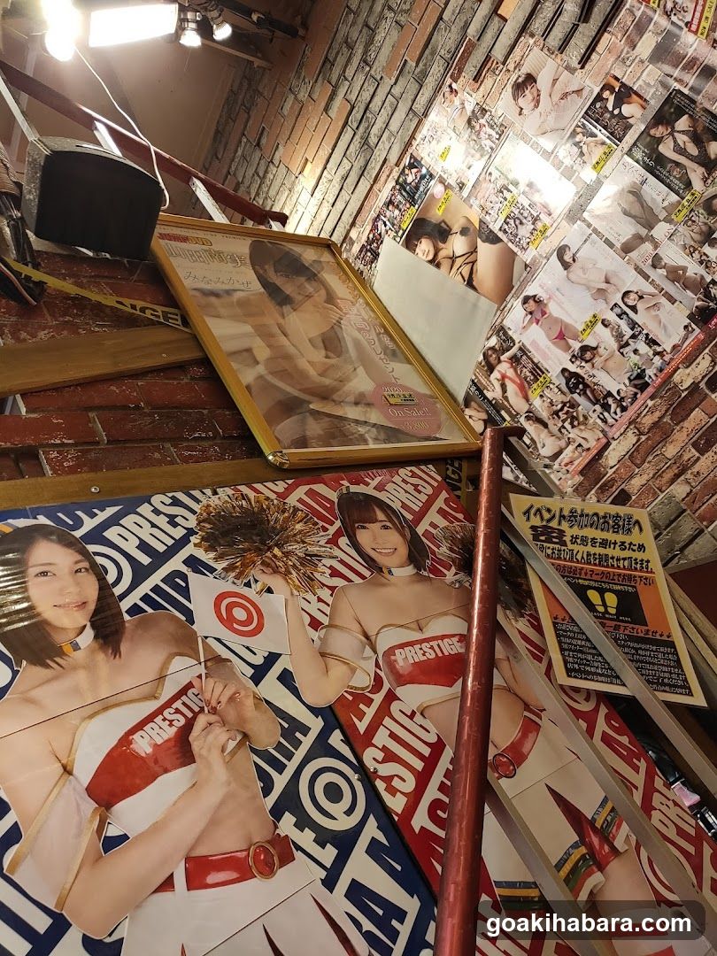 Prestige Cheerleader Posters and Magazines