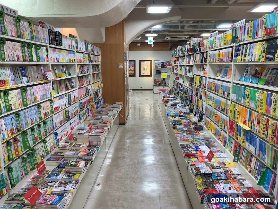 Bookstore Interior