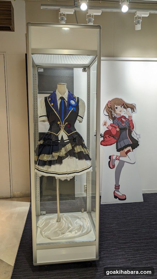 Anime Character Costume Display