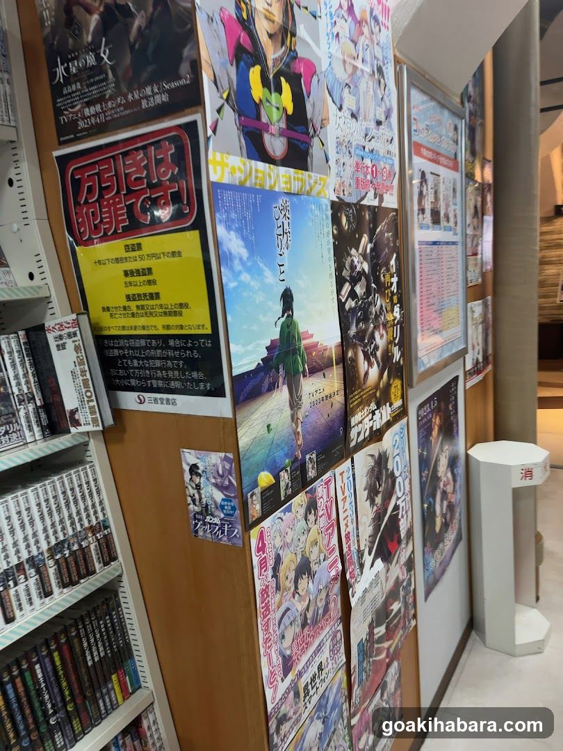 Anime Poster Wall Display