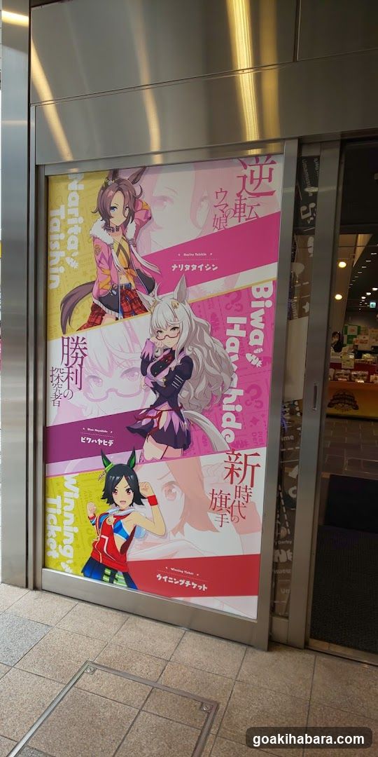 Anime Character Poster Display