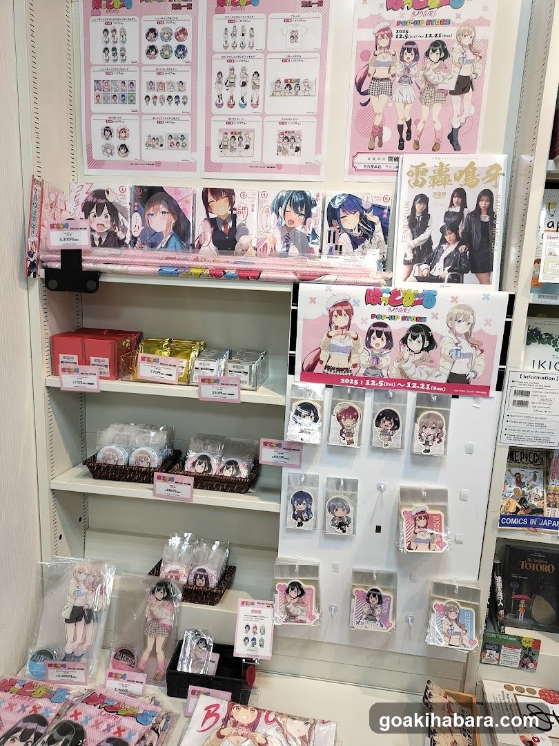 Anime Merchandise Display Shelf