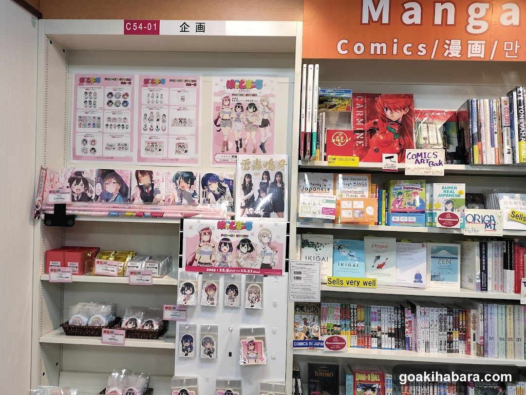 Manga and Comics Store Interior