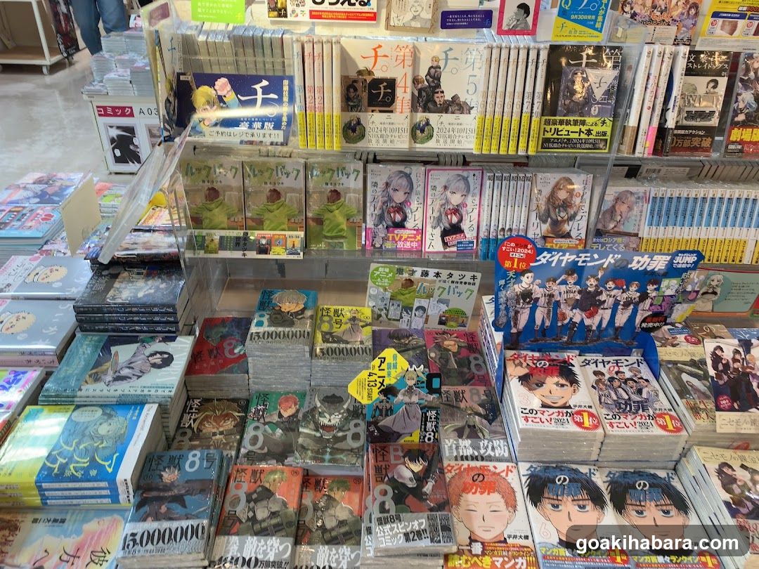 Manga and Comic Book Display
