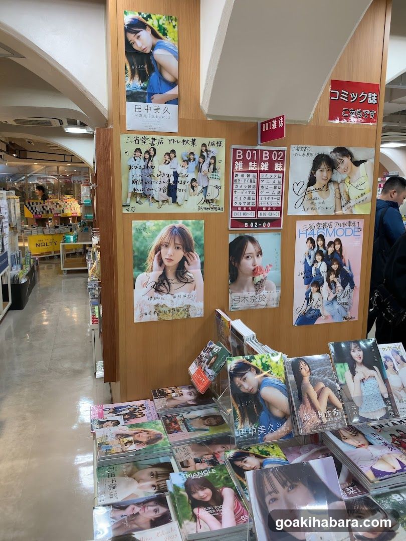 Magazine Display in Store