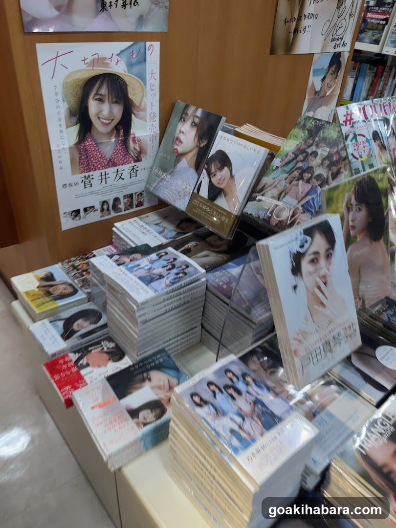 Book Display with Japanese Publications