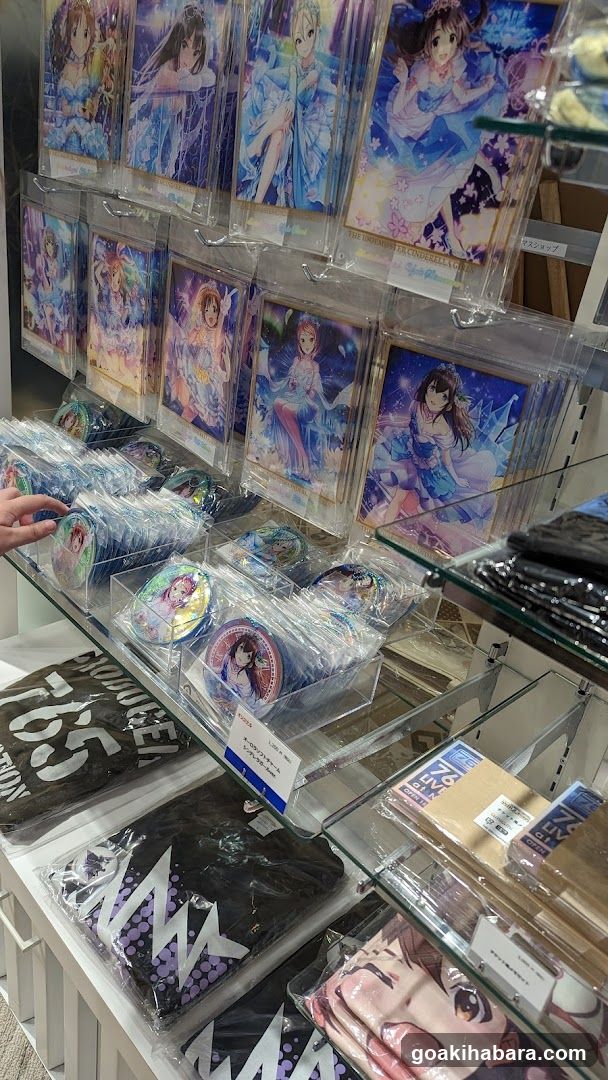 Anime Merchandise Display