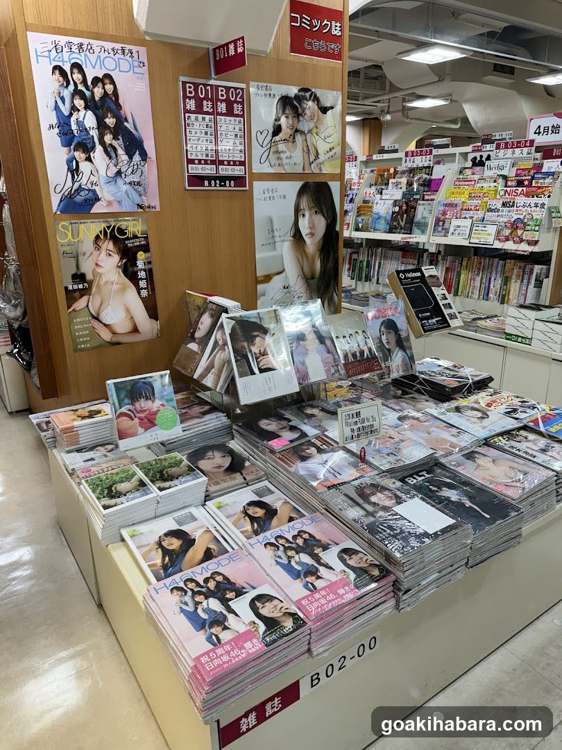 Magazine Display in Store