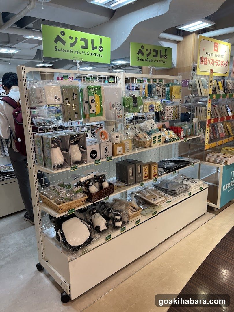 Pen Collection Display