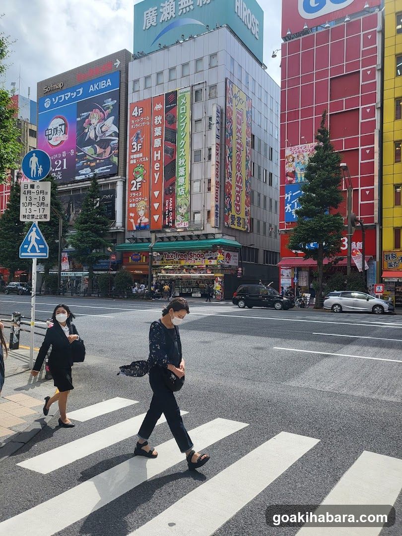 Akiba Street Scene