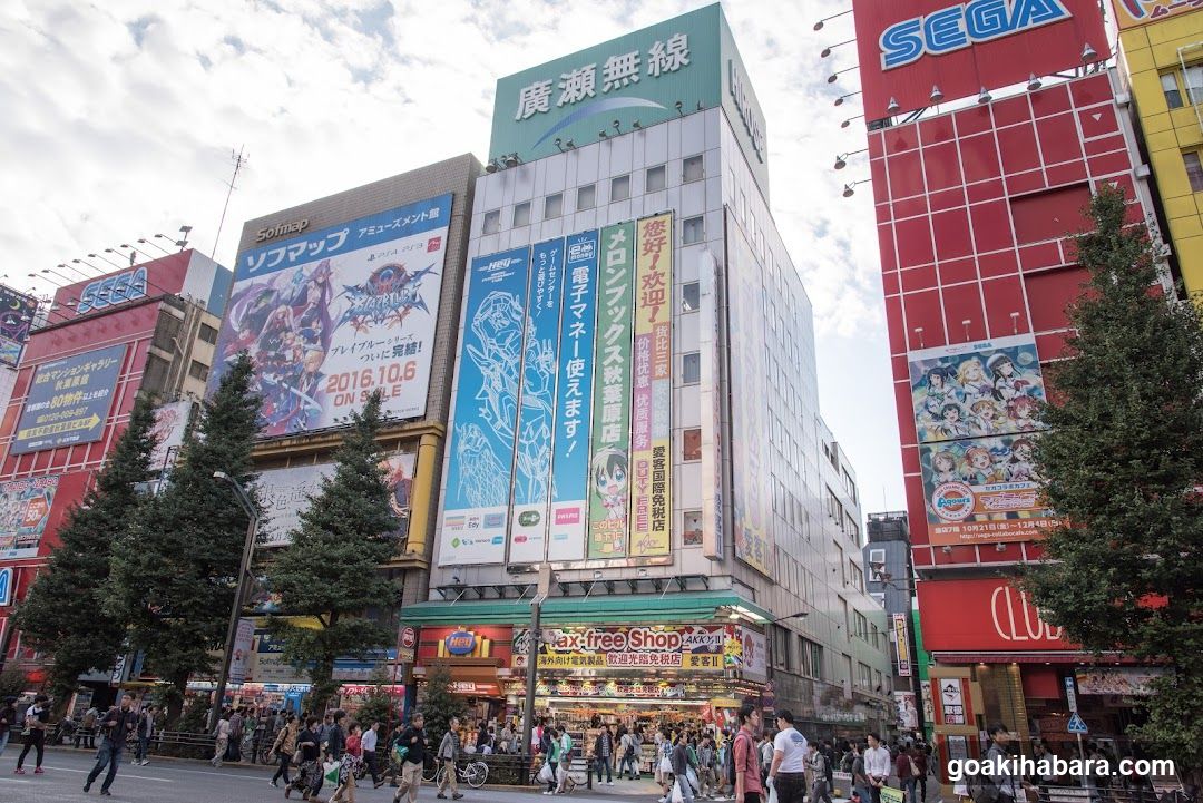 Shibuya Crossing Street Scene