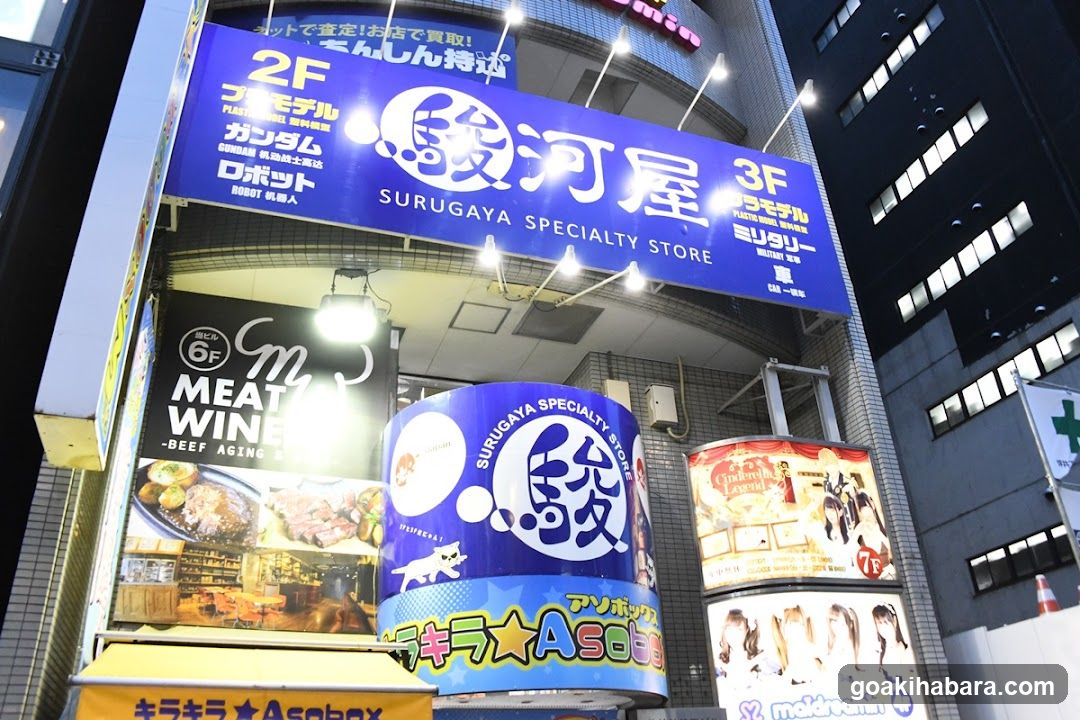 Surugaya Plastic Model Hall