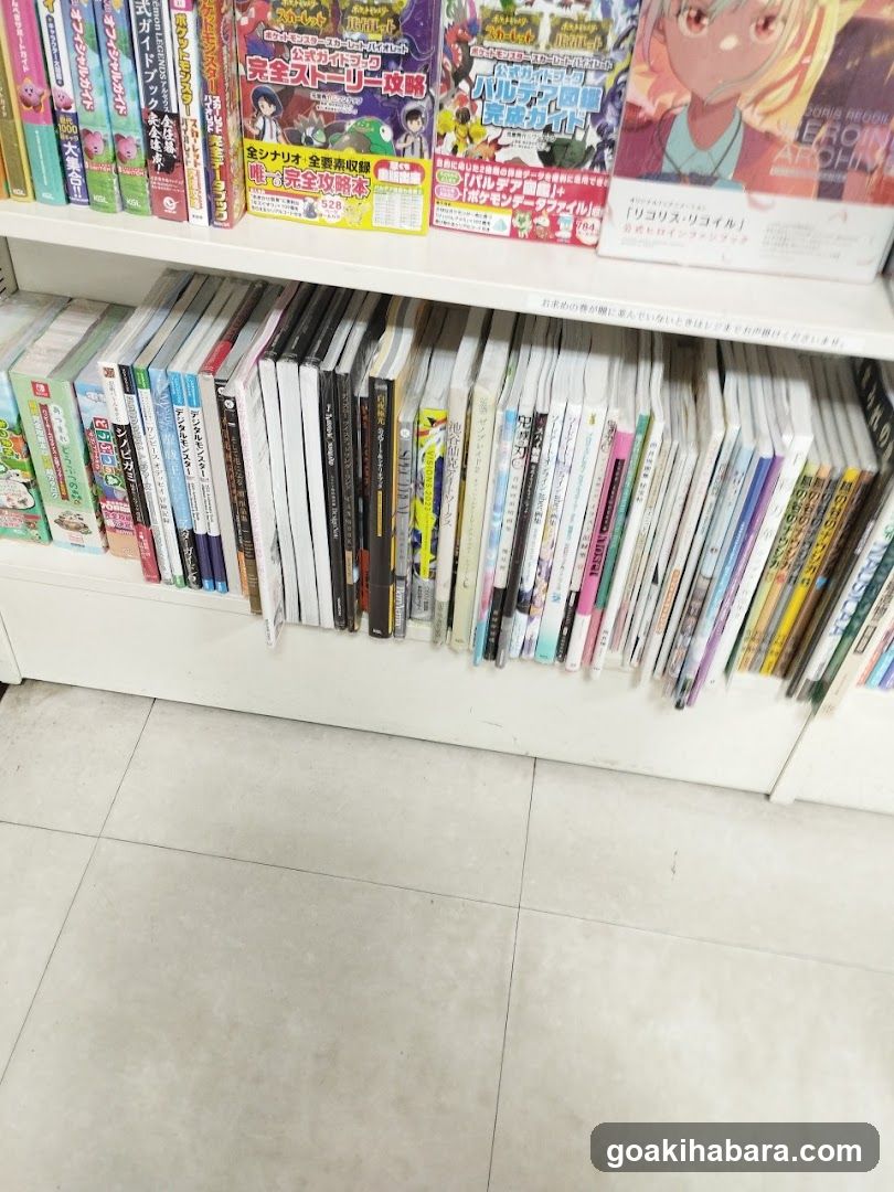 Bookshelf with Manga and Comics