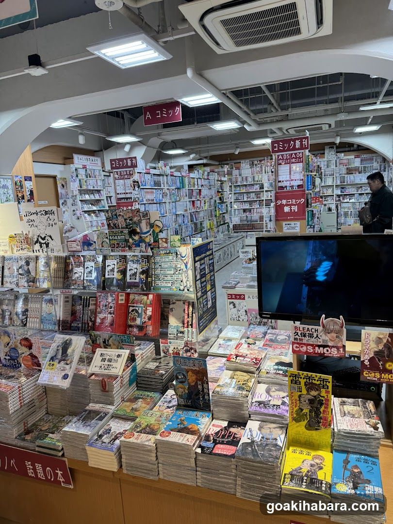 Comics and Manga Store Interior
