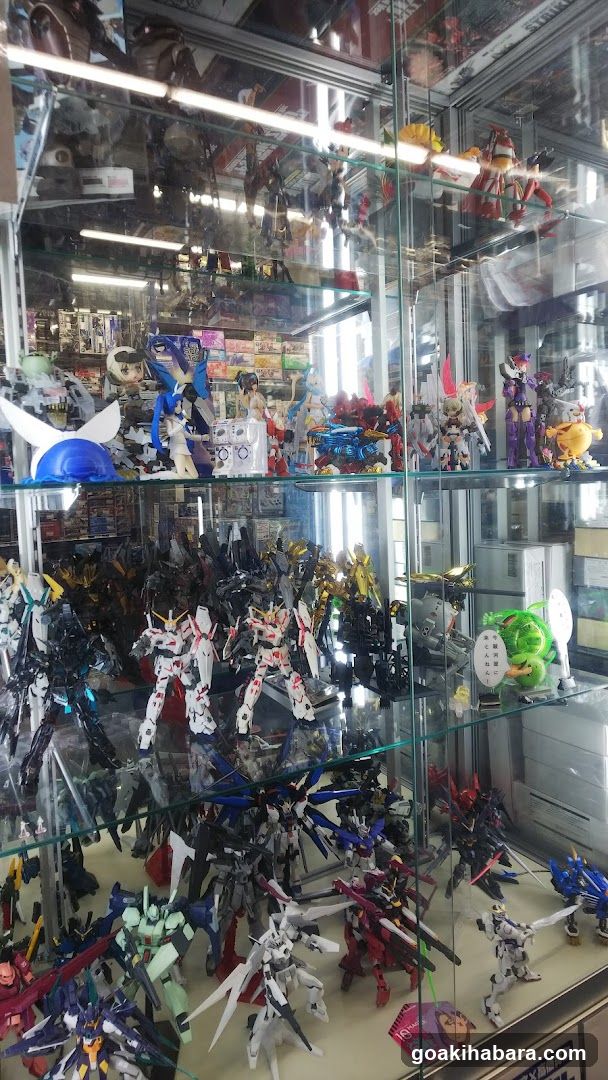 Model Display Case