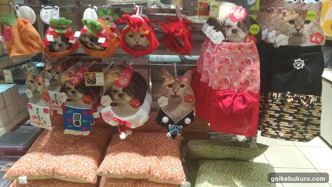 Cat Costume Display