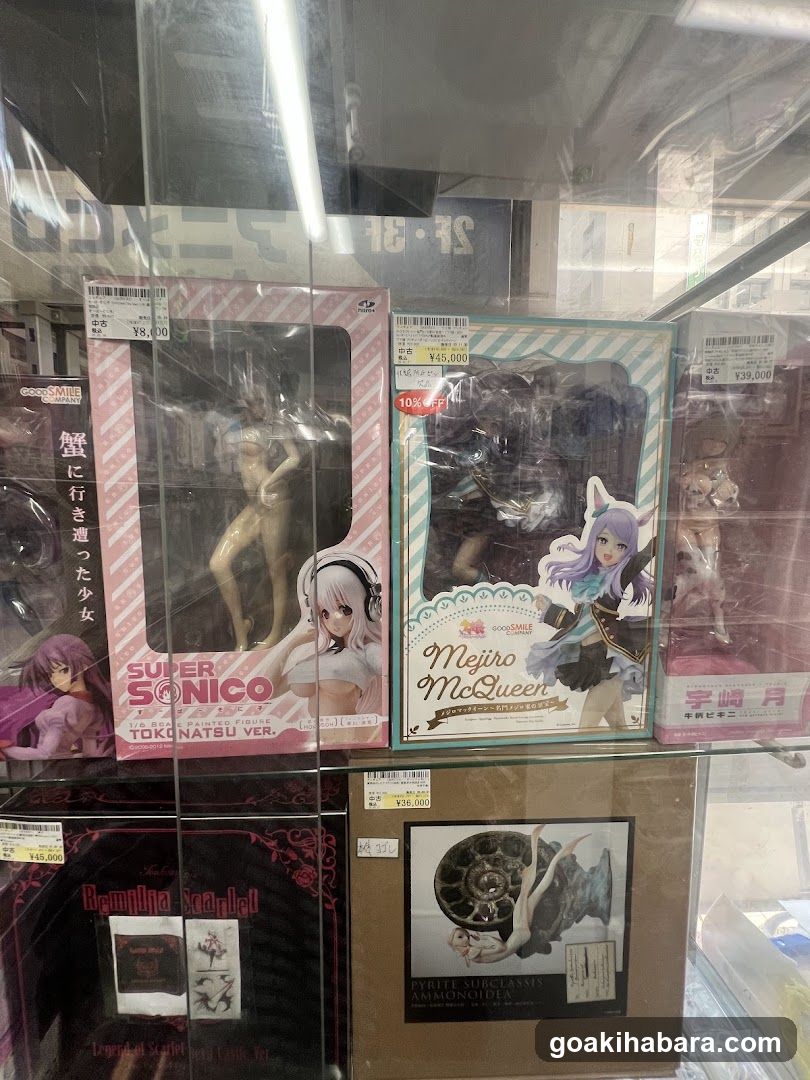 Anime Figure Display Case