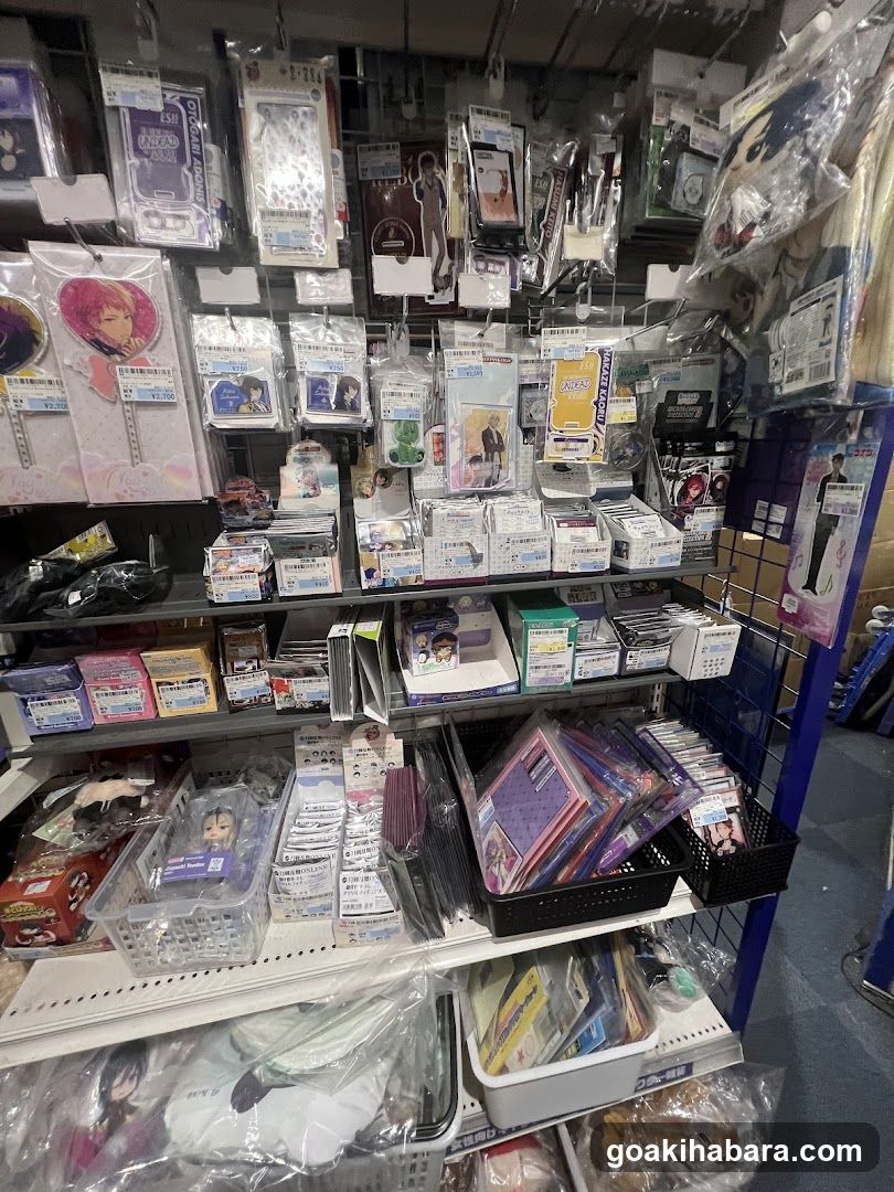 Anime Merchandise Store Interior