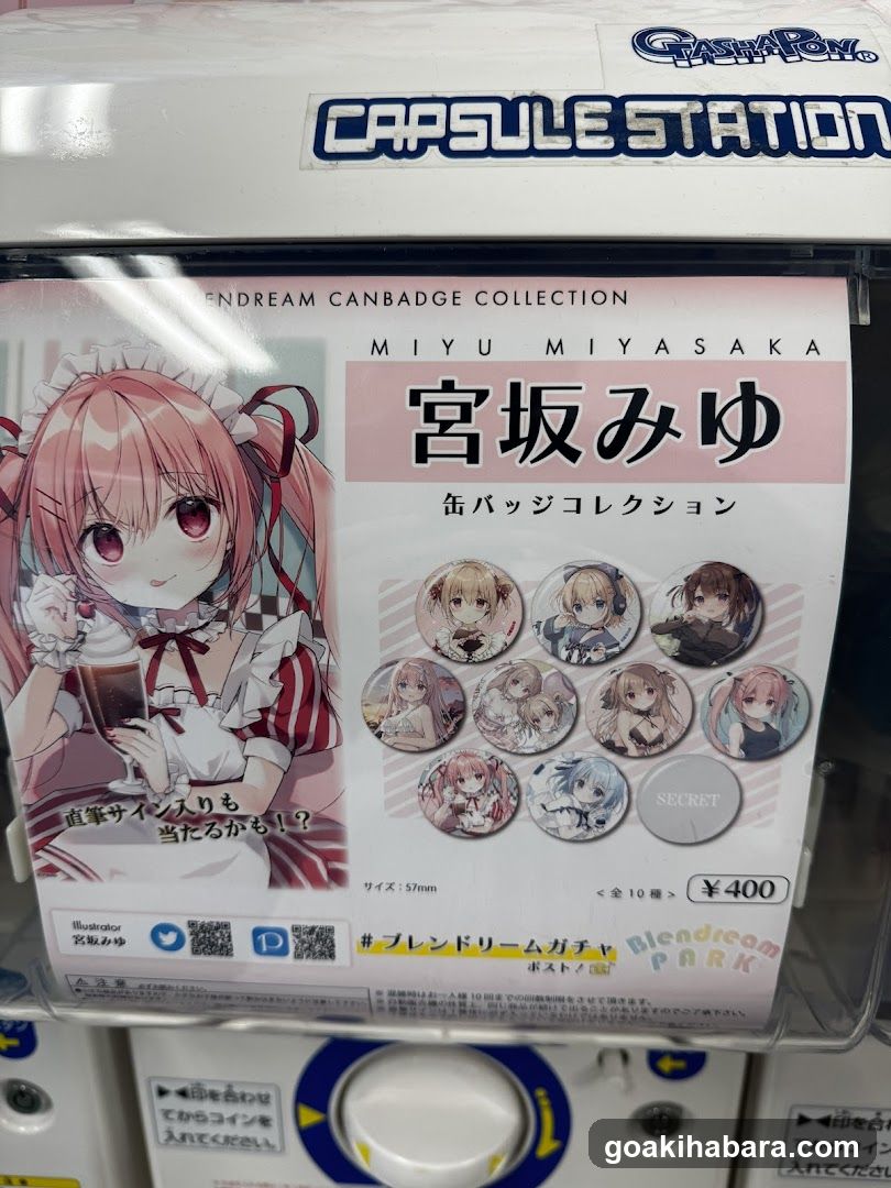 Capsule Station Display