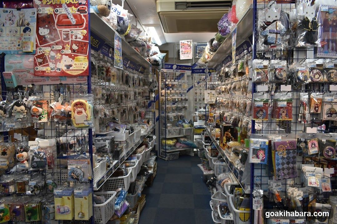 Merchandise Store Interior