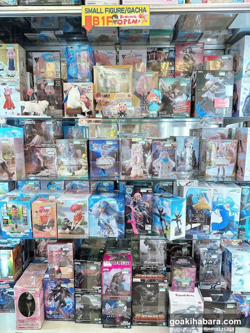 Toy and Figure Display Shelf