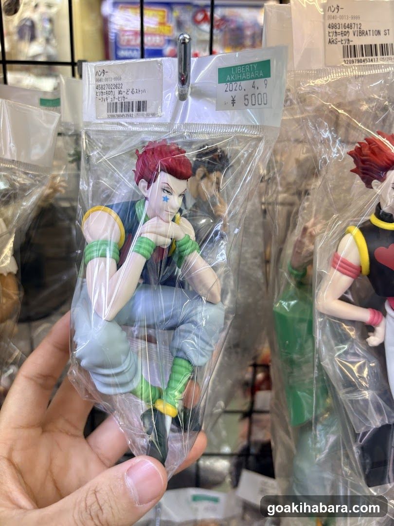 Hunter x Hunter Figure Display