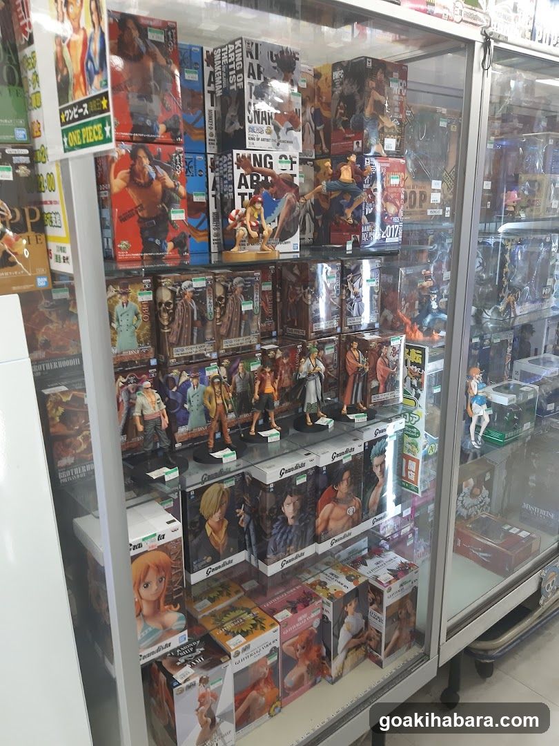 Anime Merchandise Display Case