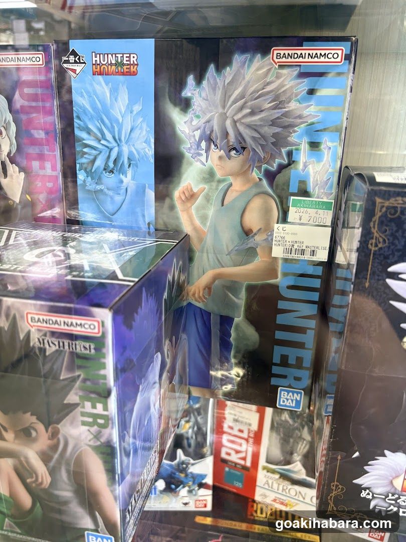 Hunter x Hunter Figure Display