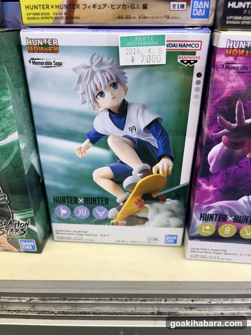 Hunter x Hunter Figure Display