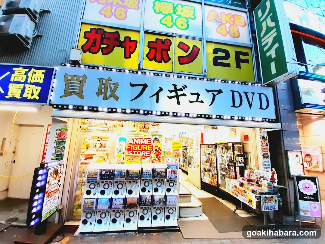Anime Figure Store Front