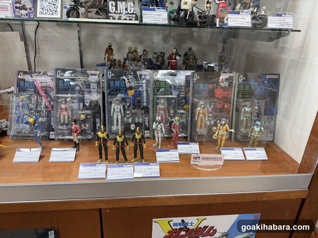 Gundam Action Figure Display