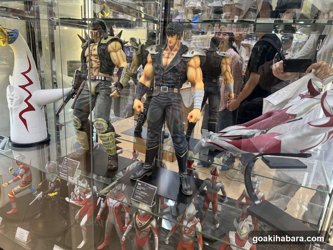 Action Figure Display Case