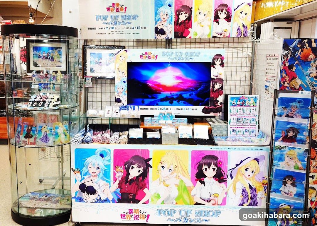 Pop Up Shop Display
