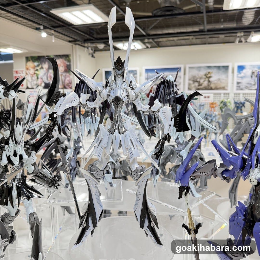 Model Display Showcase