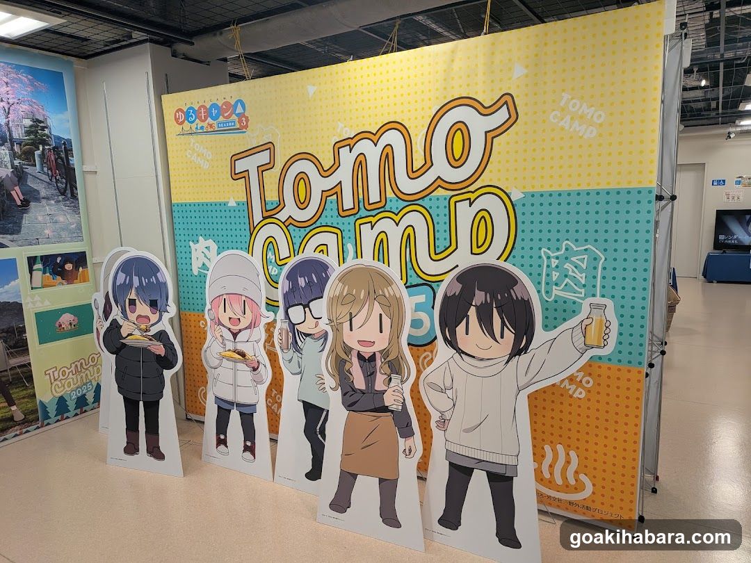 Tomo Camp Event Display