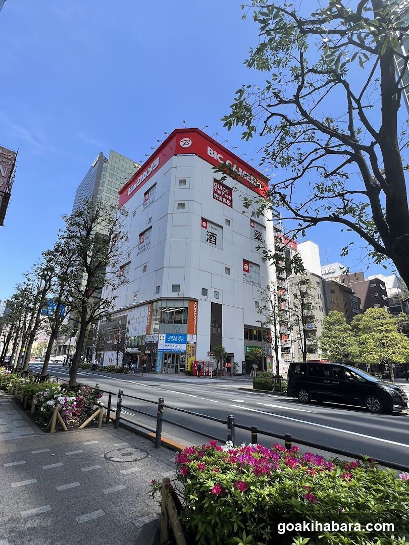 BIC Camera Storefront in Japan