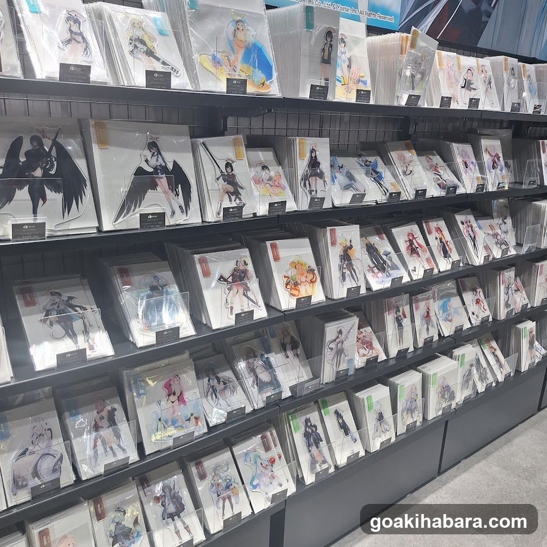 Anime Merchandise Display