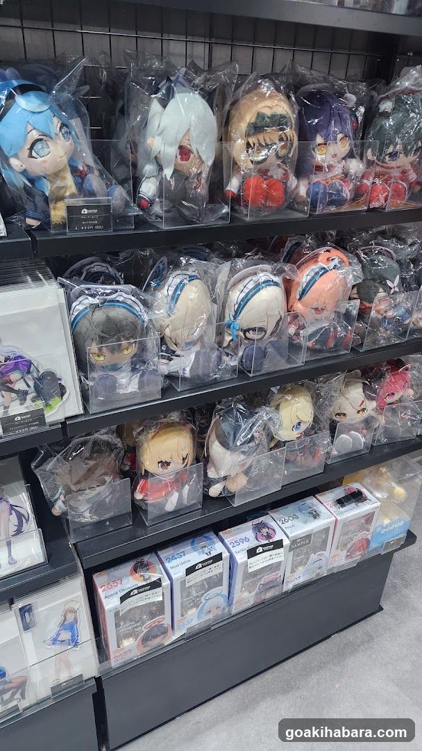 Anime Merchandise Display